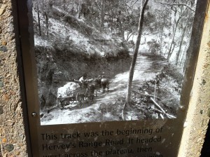 An early road through the Hervey Range