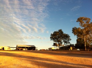 Early morning at Durham Downs