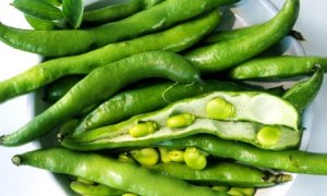 broad-beans-001