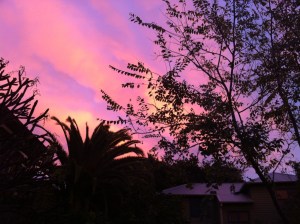 It quickly turned to this