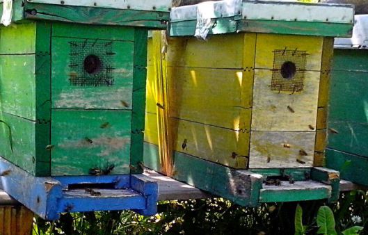 beehive-with-bees-flying-around-them / www.public-domain-image.com (public domain image)