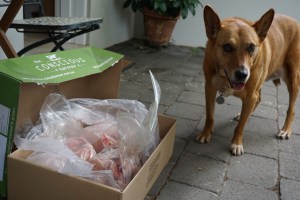 Maggie appreciated the bag of bones